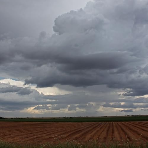 Le journal du 07 mai 2026 - Point de presse m&eacute;t&eacute;o et raret&eacute; de la mangue dans la localit&eacute; de Say