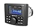 Rockville RGHR45 72W x 4 Marine Gauge Receiver, Bluetooth, 4-Zone Volume, IP66 Waterproof, Rear Camera Input, USB Video, RCA A/V, Wired Remote, AM/FM, for Boats and Powersports