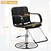 BLKMTY Barber Chair Hydraulic Salon Chair 360° Swivel Stylist Spa Chairs Low Back Hair Stylist Chairs for Barbershop Home Beauty Salon Equipment, Max Load Weight 440 lbs, Black