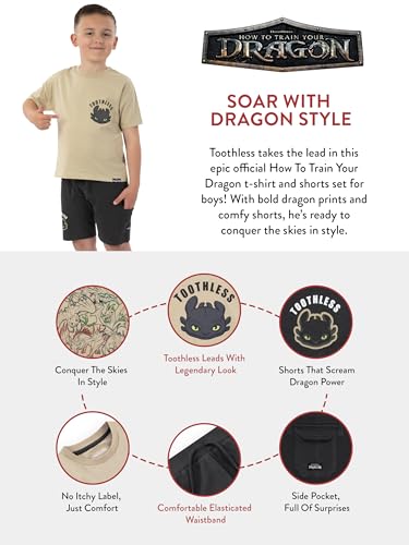 Image of How To Train Your Dragon Shirt And Shorts, Toothless Boys Tshirt And Boys Shorts, Dragon Cotton T Shirt Outfit Set