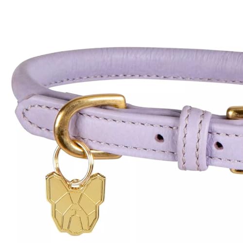 Digby & Fox- Hundehalsband, Aufgerolltes Leder, Schnalle (XXL- Neckline: 65 cm- 70 cm) (Petrol)-4