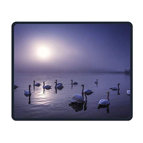 Swans On The Moonlight Lake Office,Game Necessary,Good Partner Mouse,Mouse Pad
