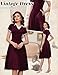 Dressystar Women V Neck 1950s Vintage Short Sleeves Dress Retro A Line Swing Rockabilly Cocktail Party Dresses with Pockets Burgundy M