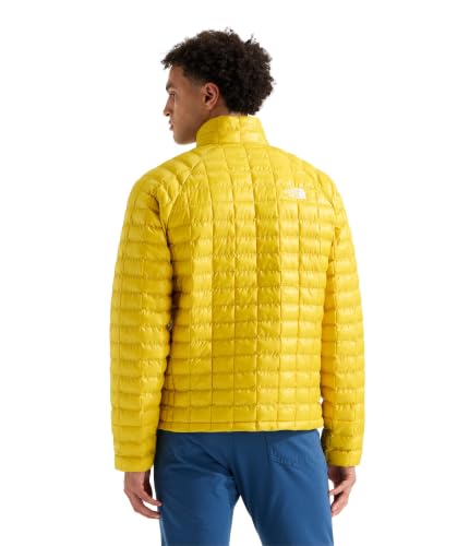 Image of The North Face Men's Thermoball Insulated Jacket (Standard & Big Size) | High Loft Insulation, Wind & Water Resistant