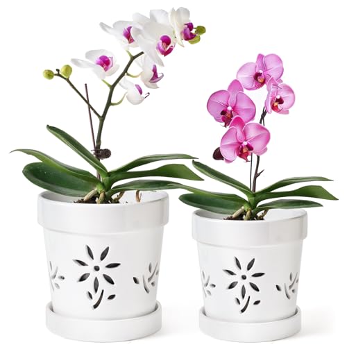 STHIE Small Orchid Pots with Holes 5 Inch & 6 Inch,...