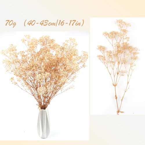Dried Baby's Breath Flowers Bouquet Natural Dried Flowers Baby's Breath Real Gypsophila Branches for Wedding Table Vase Party Garden DIY Wreath Floral Home Decor(Beige) - Image 2