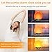 DreamSky AM FM Radio and Sunrise Alarm Clock Radio with White Noise Sound Machine Bluetooth Speaker