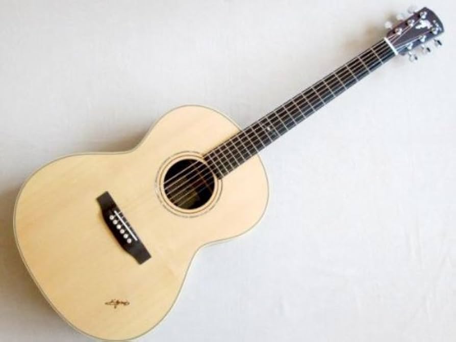 Amazon.co.jp: K.Yairi RF-95 N アコースティックギター