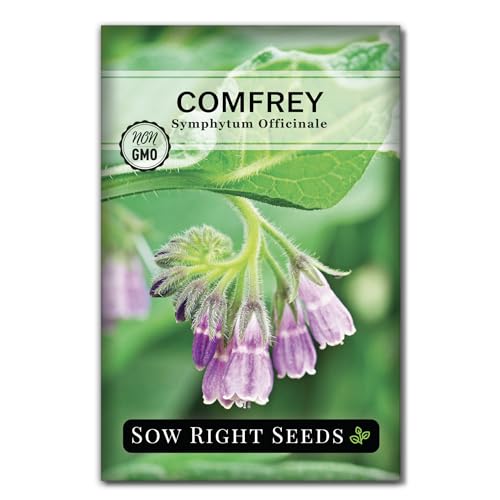 Sow Right Seeds - Comfrey Seeds for Planting - Non-GMO Heirloom - High-Yield Comfrey for Garden Medicinal Herbs and Soil Improvement - Outdoor or Indoor Herb Garden - Use for Home Remedies (1)