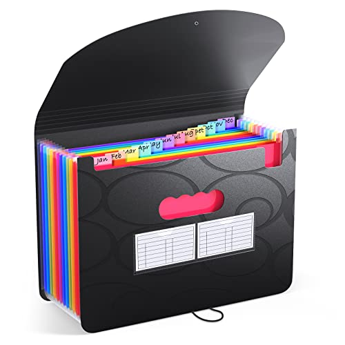 ThinkTex Accordian File Organizer, 12 Tasche che