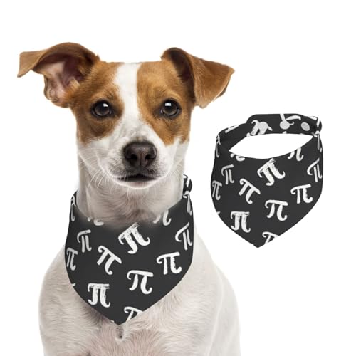Pañuelo para perros ajustable Pi Day divertido medio