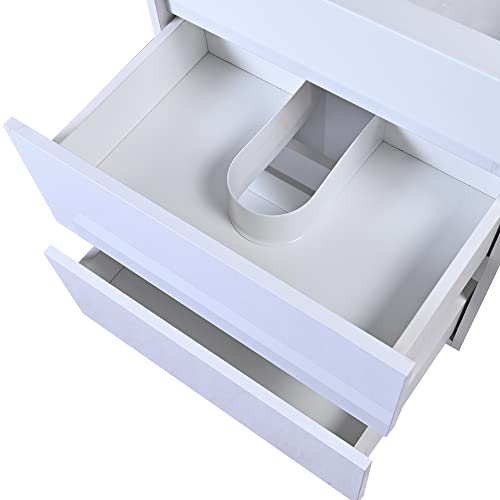 Madison Home Products Wall Mounted Single Bathroom Vanity With 2 Drawers And A Acrylic Vanity Top By Gravita Designs (White High Gloss, 24") #TOP5