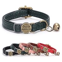 Collare Con Fibbia E Guinzaglio - Foto 11