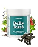 vetevo Belly Bites für Hunde, Verdauungssnacks mit Probiotika Hund, Heilmoor für Hunde, Hund Darmflora aufbauen, mit Flohsamenschalen Hund – 300g Dose vetevo Belly Bites für Hunde, Verdauungssnacks mit Probiotika Hund, Heilmoor für Hunde, Hund Darmflora aufbauen, mit Flohsamenschalen Hund – 300g Dose
