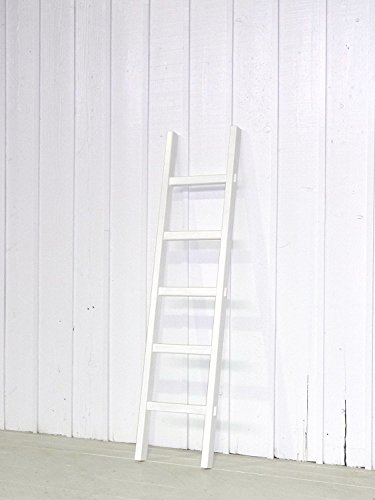 xEϋvQIؐq(͂jMTi F _[EݑEKi (H1,330×W363mm)