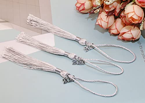Tupalizy 10Pcs Mini Silky Handmade Bookmark Tassels With 20Pcs 2023 Year Charms For Graduation Keychain Earring Jewelry Making Wedding Favors Souvenir Gifts Tags Diy Craft Projects, Silver And Silver #TOP4