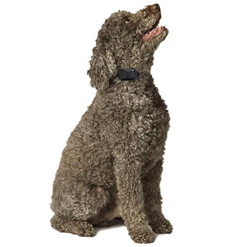 Educator ET-400 3/4 Mile E-Collar Remote Dog Training Collar with Vibration, Tapping Sensation and Pavlovian Stimulation