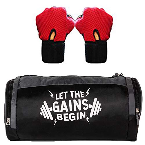 Achieving Supply Chain Agility: Information System Integration in the Chinese Automotive Industry