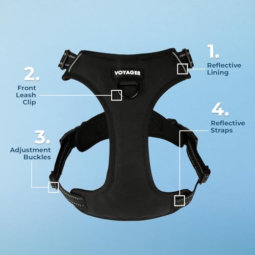 Image of Voyager Dog Harness Dual Leash Attachment No-Pull Control Adjustable Soft but Strong Pet Harness for Medium and Large Dogs with 3M Reflective Technology, Leash Set Black Nylon, XS (Chest: 13-16 inch)