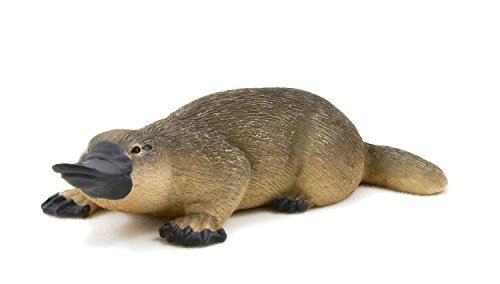 Mojo Fun 387106 Duck Billed Platypus - Realistic International Wildlife Toy Replica by Mojo Fun - Wildlife