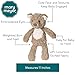 Mary Meyer Putty Nursery Stuffed Animal Soft Toy, 11-Inches, Teddy Bear