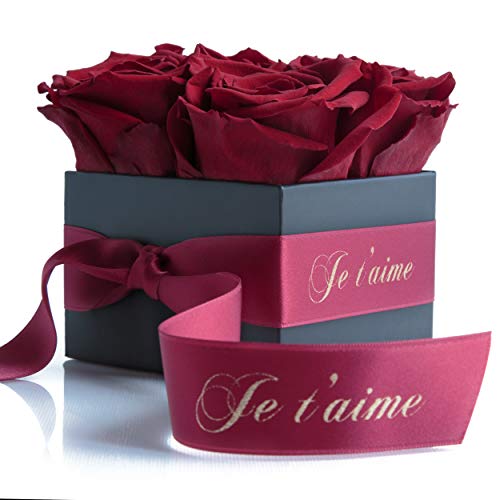 ROSEMARIE SCHULZ Heidelberg Roses éternelles et stabilisées Cadeau Je Taime pour Femme et Amoureux (Bordeaux, Je t'aime) Cover