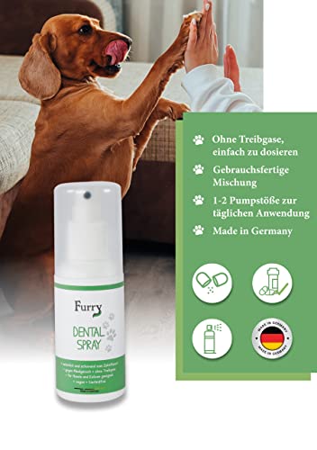 Dentalspray für Hunde und Katzen, 100ml