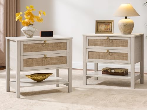 SICOTAS Nightstands Set of 2 with Drawer and Shelf