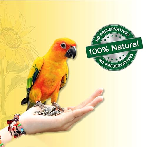 Image of BOLTZ Striped Premium Sunflower Seeds for Birds, Bird Food for Lovebirds, Cockatiels, Sun Conure, African Grey Parrot, Amazon, Macaws, Cockatoos for All Life Stages (450Gm (Pack 1))