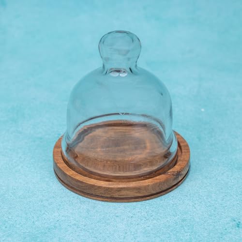 Image of Nibble Nest Acacia Wood Cake Stand with Glass Dome | Wooden Dessert Display Stand for Cakes, Pastries, Cupcakes & Cookies