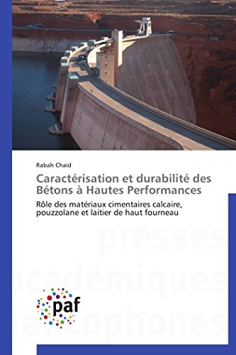 Caractérisation et durabilité des bétons à hautes performances (French Edition)