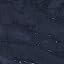 French Navy