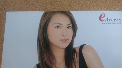 Amazon.co.jp: 超貴重長谷川京子eアクセス ADSL+のヘソ出しCMのチラシ