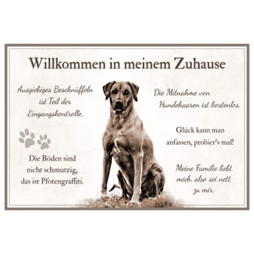 ZAUBERBILD Hundeschild Warnung | Rhodesian Ridgeback 'Willkommen in Meinem Zuhause' | Warnschild Vorsicht Hund | 25x17cm Alu