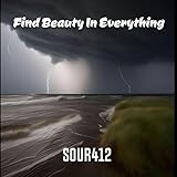 Find Beauty In Everything