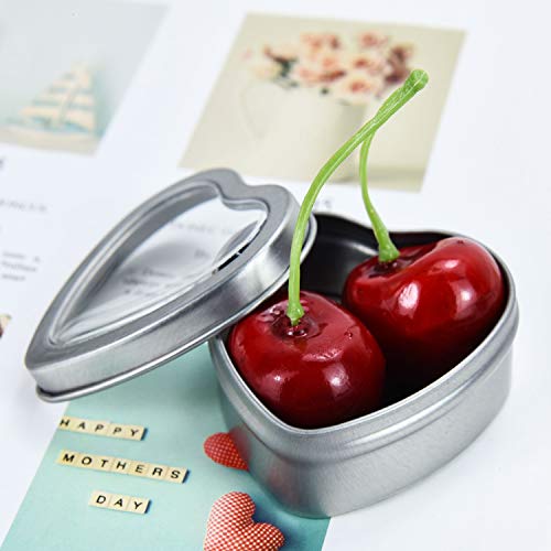Gonioa 30ct Empty Heart Shaped Silver Metal Tins with Clear Window for Party Favors, Candle Making, Spices, Gifts