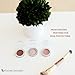 Lauren Brooke Cosmetiques Cream Eyeshadow | Natural Organic Eye Makeup, Richly Pigmented Creme Eyeshadow For Women (Plum Fairy (Matte))