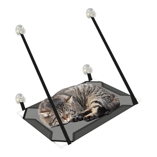 Hamac intérieur pour chat avec ventouses : étagère suspendable gain de place maison
