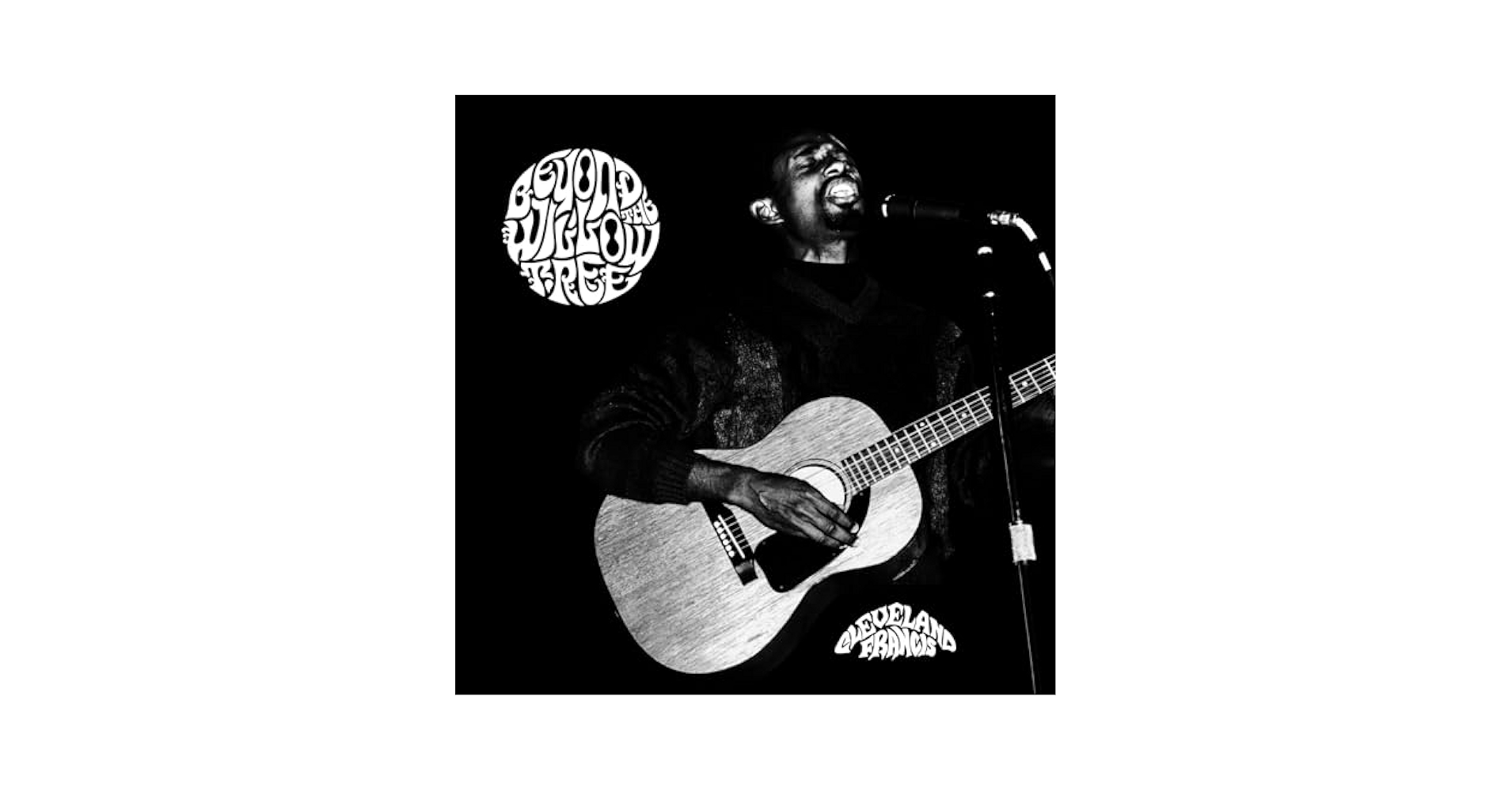 米2LP Cleve Francis Beyond The Willow Tree FORLP005 Forager Records 未開封 /00660 Cleveland Francis - Beyond The Willow Tree Vinyl 2xLP