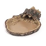 Terratlantis TD Feeder W/Handle 23.5Cm