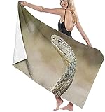 King-Cobra-High-Definition-Wallpaper-45145 Toallas de Playa 