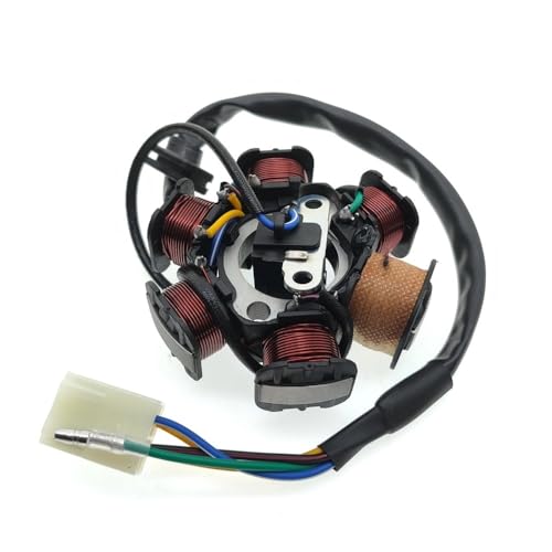 Bobine d'allumage stator de magnéto pour réparer le moteur C100