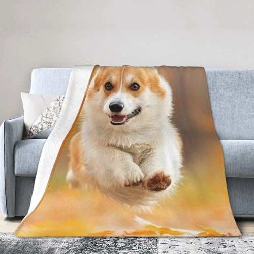 ׂĂ̋G߂ɓKĂ܂ Aj |ѕz  1 |ѕz uPbg tl zc ϋN R AM[h~ g ۉV[c dy Q \t@ uPbg 80"X60"