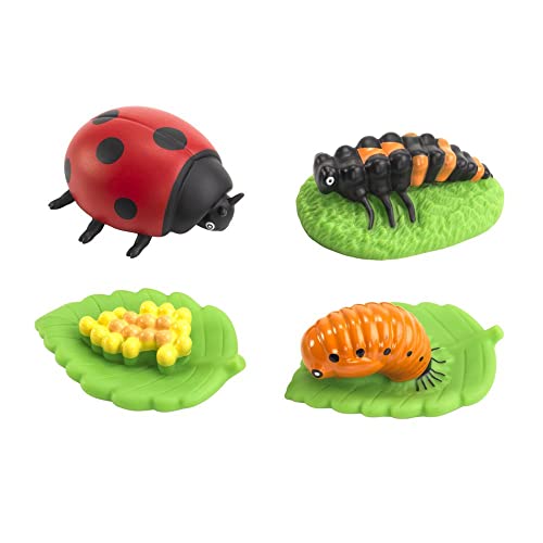 Excellerations earlySTEM My First Soft Ladybug Life Cycle - 4 Models