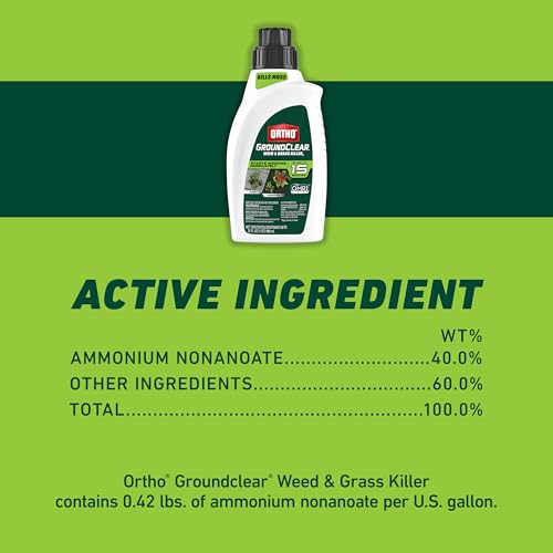 Image of Ortho GroundClear Weed and Grass Killer2 Concentrate, Kills Dandelions, Chickweed, Crabgrass, Moss and More in Patios and Landscapes, OMRI Listed, 32 fl. oz.