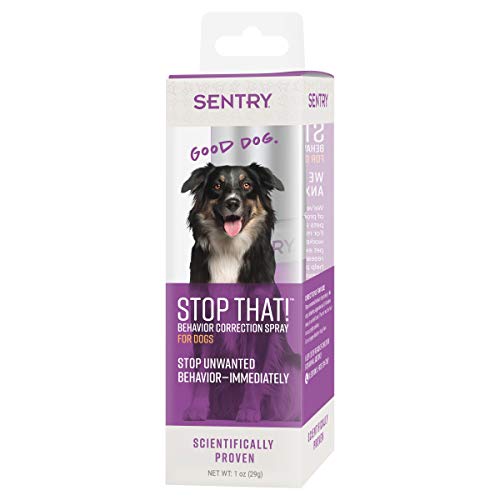 5 Best Dog Repellent Spray Brands to Correct Bad Behavior in 2020