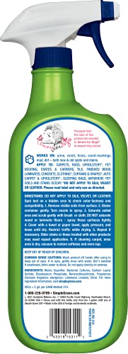 Cat Stain & Odor Remover - Enzyme Cleaner For Cat Urine, Feces, Blood, Vomit - 32Oz #TOP1