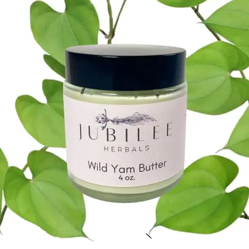 Wild Yam Cream for Hormone Balance, 4 OZ. (Pack of 1)- Annas Wild Yam Cream