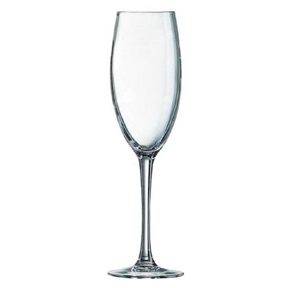 Passaro Champagne Glasses - Set of 4 -7 Passaro Champagne Glasses - Set of 4 -7