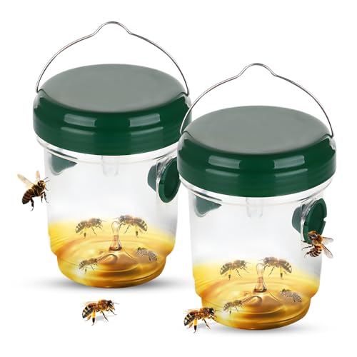 yotutun Trampa Avispas Exterior, Trampa Insectos Repelente de Avispas para Colocar y Colgar de Plástico Trampa Colgar para Jardín Terraza Balcón Antiavispas para Piscina Casa (2 Piezas-Verde)